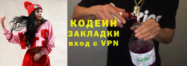 дмт Осинники