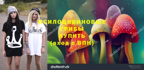 mdpv Остров