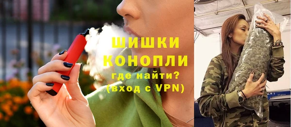 дмт Осинники