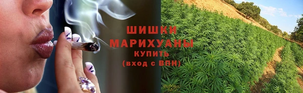 сатива Гвардейск