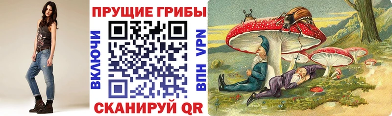 Галлюциногенные грибы мицелий Кувшиново