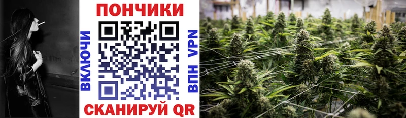 Шишки марихуана Ganja  Кувшиново 